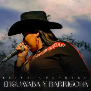 Song - Mi Mango Piche