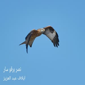 نصر برقو سار