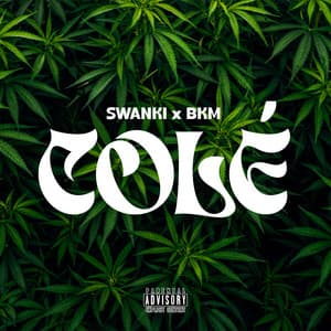 COLÉ MASS (feat. Swanki & Bkm)