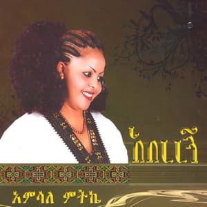 Amsale Mitkie - Babajalew