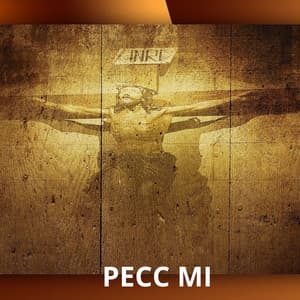 PECC MI