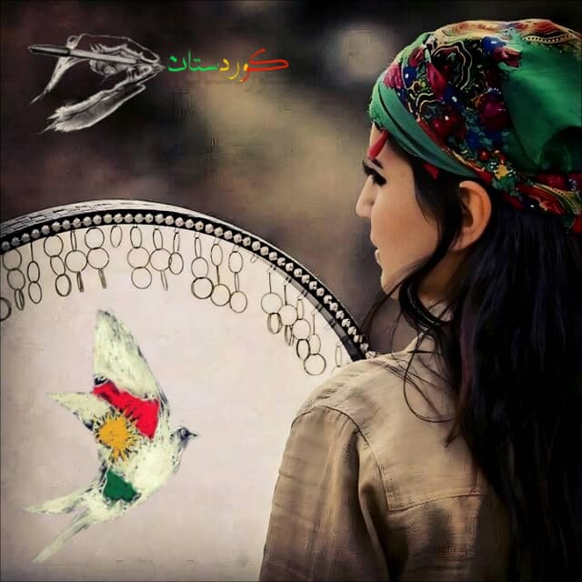 Artist - ريناس للإنتاج والتوزيع الفني