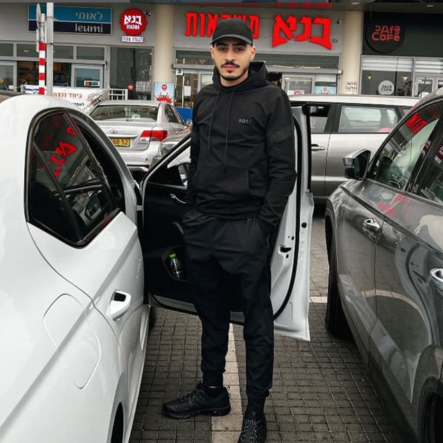 Artist - أبو اللبيب