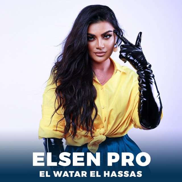 Artist - Elsen Pro