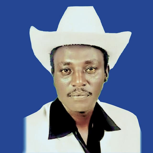 Artist - John De' Mathew