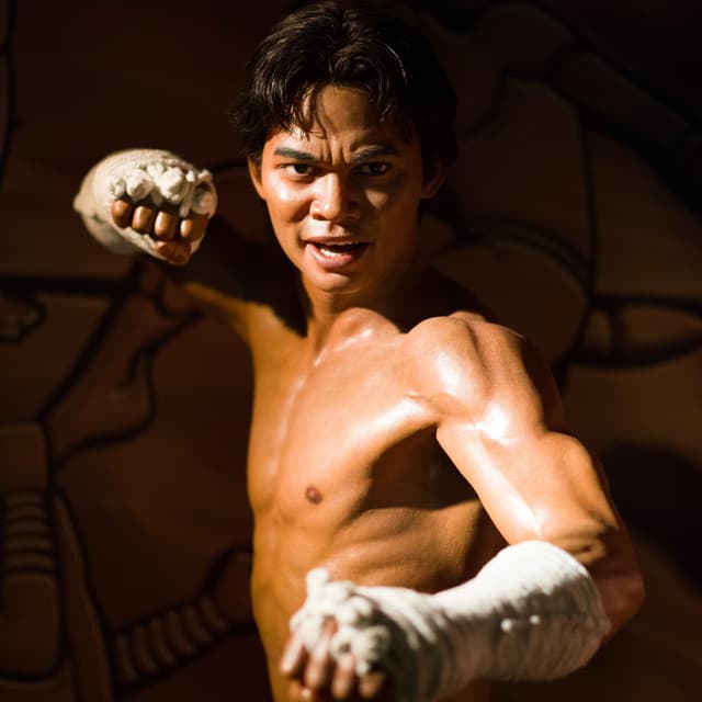 Artist - ZAVIA MUZIK