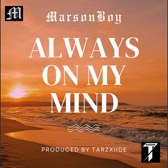 Artist - TarzXiide Official