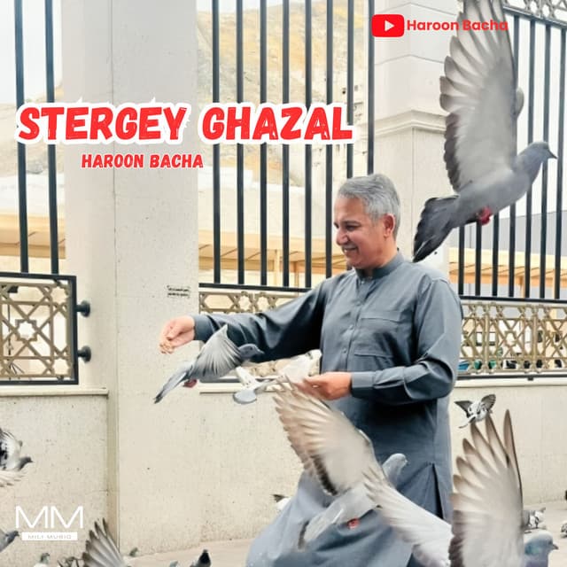 Artist - Haroon Bacha