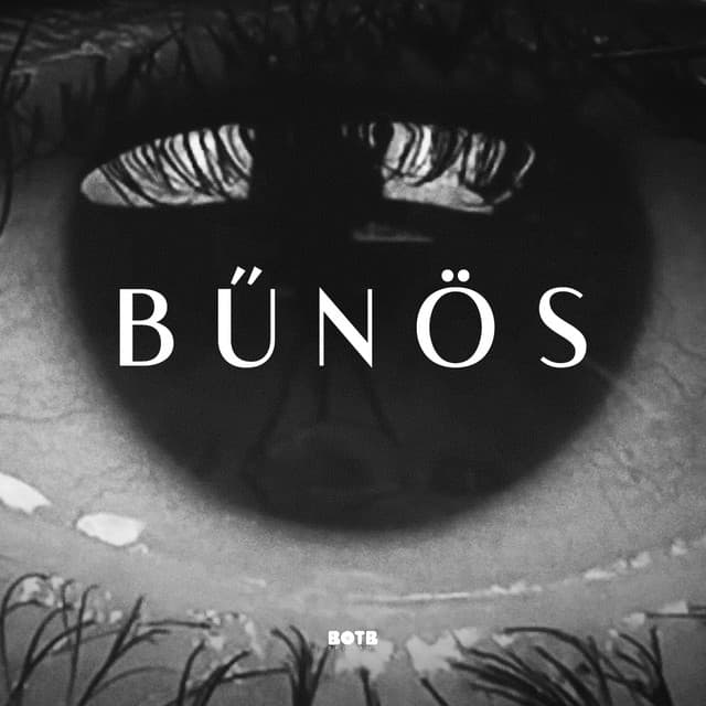 Artist - Opitz Barbi