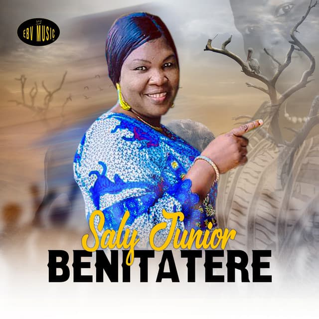 Artist - SALY JUNIOR