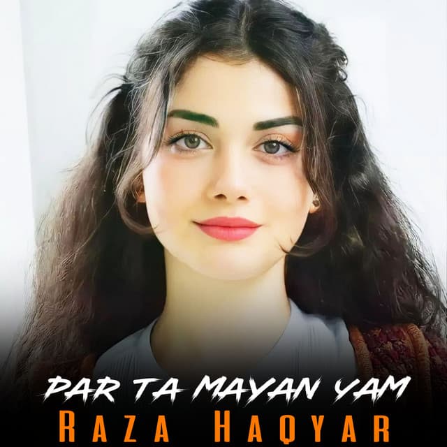 Artist - Raza Haqyar