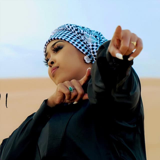 Artist - Ayaan Wadani