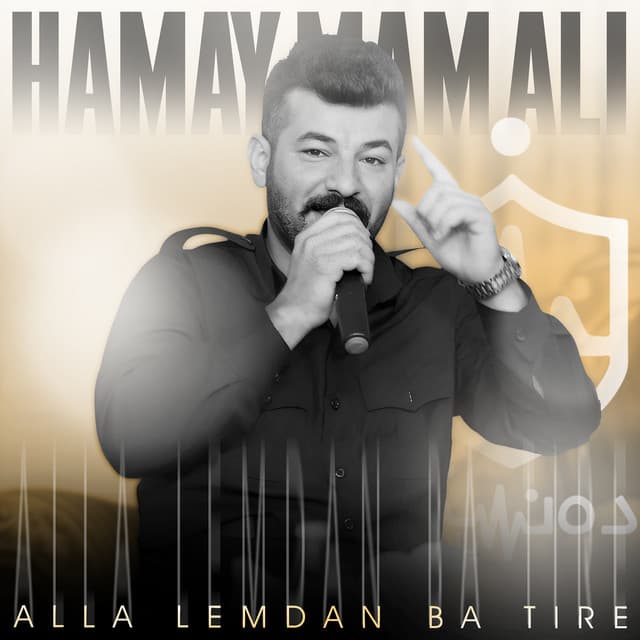 Artist - Hamay Mam Ali