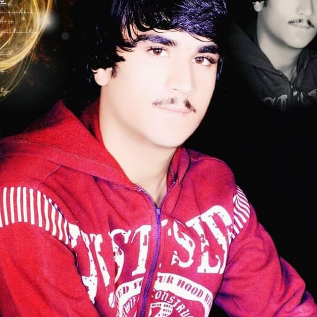 Artist - Suleman Shah Watan Dost