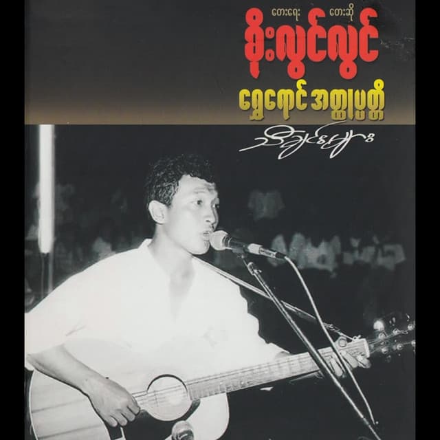 Artist - Soe Lwin Lwin