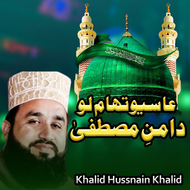 Artist - Khalid Hasnain Khalid