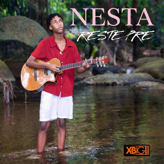 Artist - Nesta Seychelles
