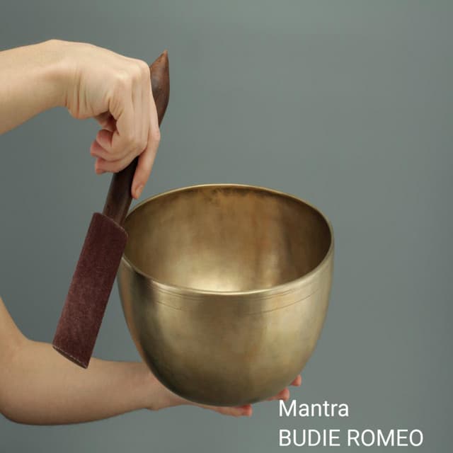 Artist - BUDIE ROMEO