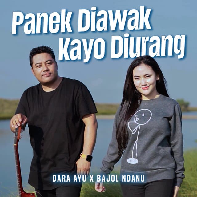 Artist - Bajol Ndanu