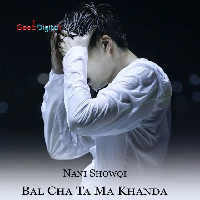 Artist - Nani Showqi