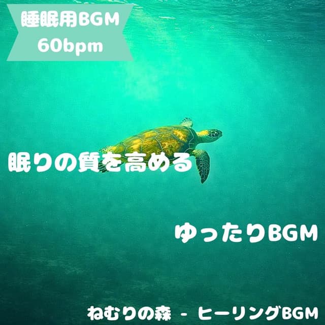 Artist - Sleeping Forest - Healing BGM