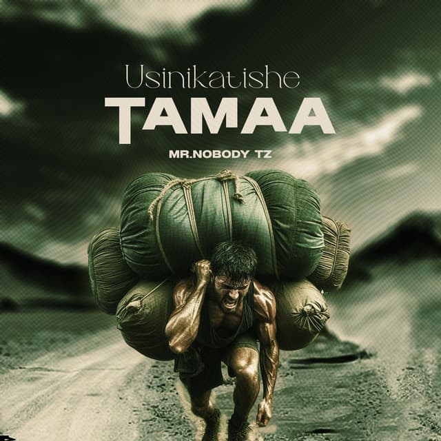 Artist - Mr. Nobody Tz