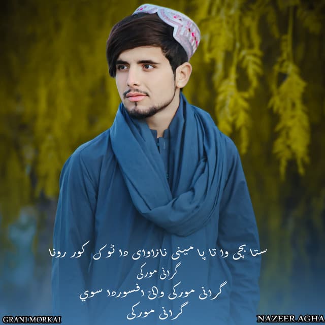 Artist - Nazeer Agha