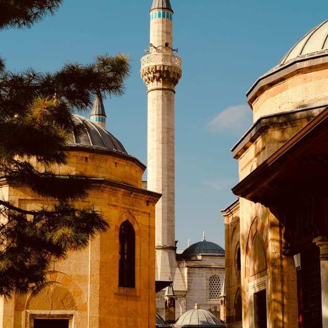 Artist - خالد زرهاوي