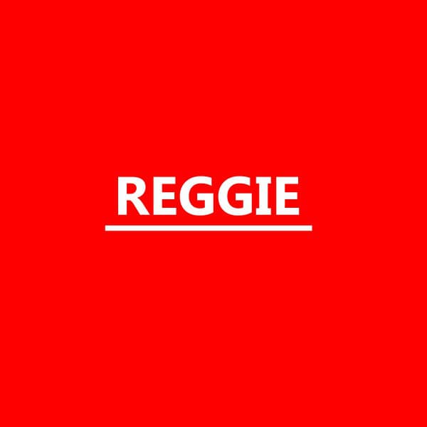 Artist - Reggie