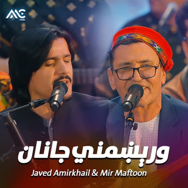 Artist - Javed Amirkhail