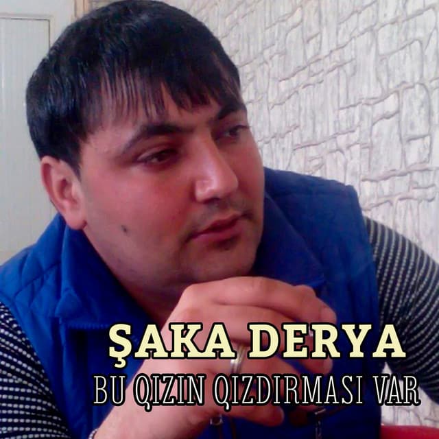 Artist - Şaka Derya