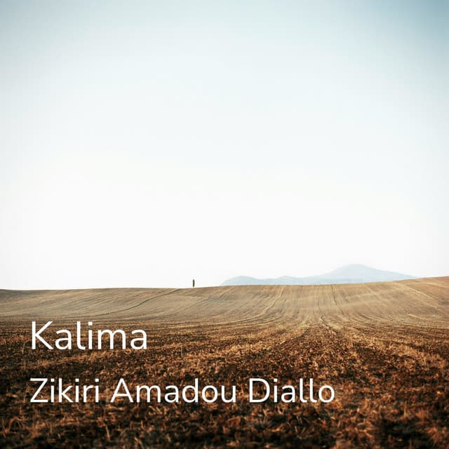 Artist - Zikiri Amadou Diallo