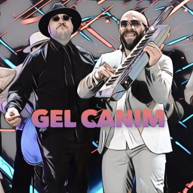 Artist - Hazul României