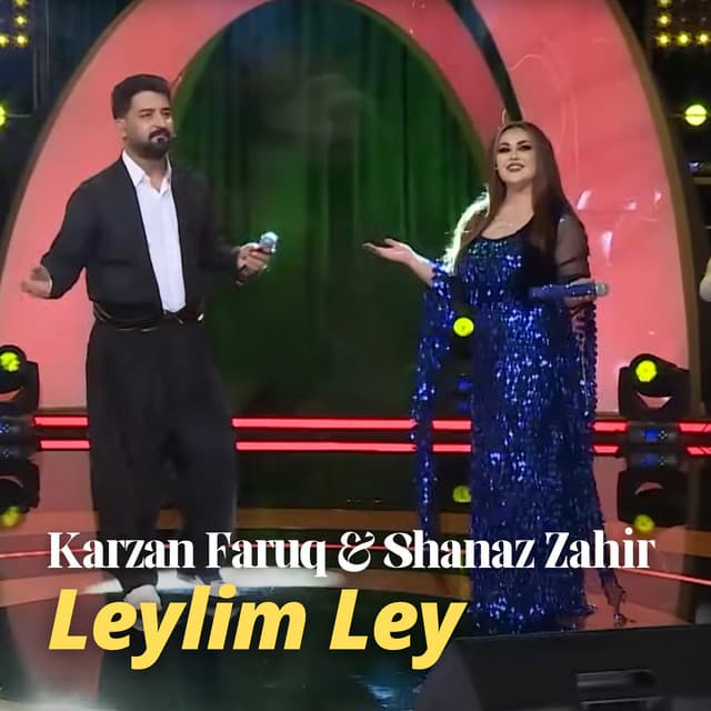 Artist - Shanaz Zahir