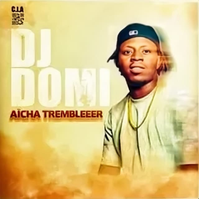 Artist - Dj Domi