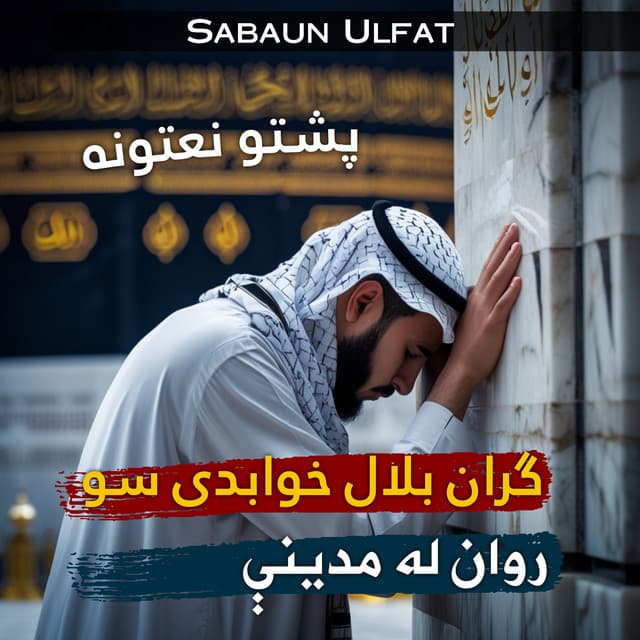 Artist - Sabaun Ulfat