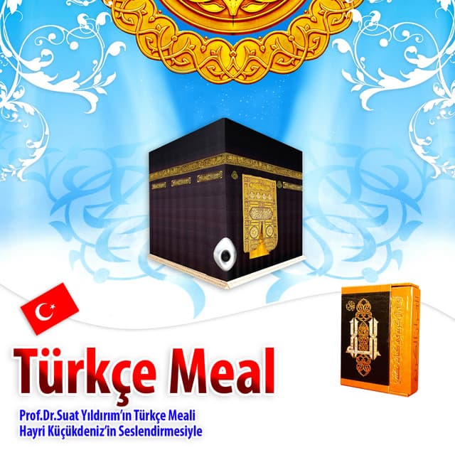 Artist - Hayri Küçükdeniz