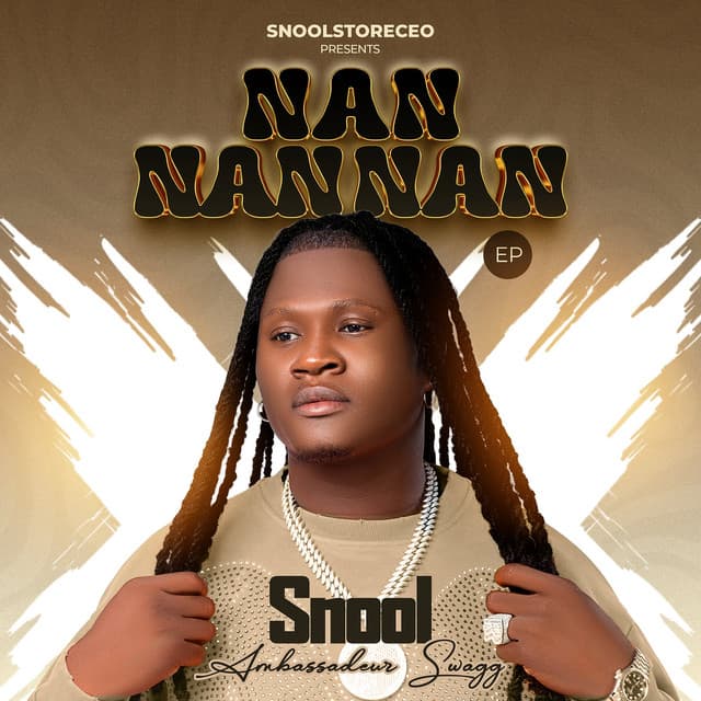 Artist - Snool Ambassadeur Swagg