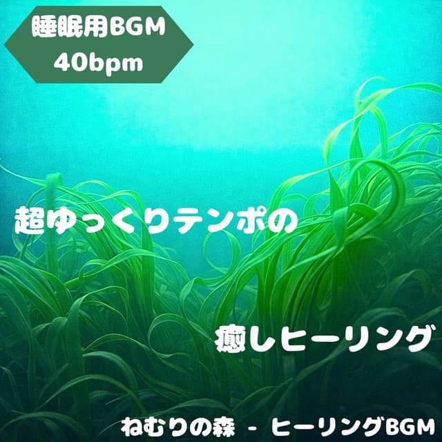 Artist - Sleeping Forest - Healing BGM