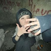 TikTok Account - petpeevekokayolahat