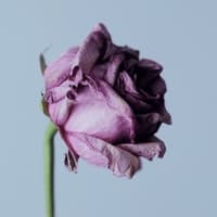 A sad piano song that could be used for tiktok(1390350)