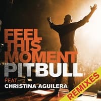 Feel This Moment (feat. Christina Aguilera) (Riddler & Reid Stefan Club Mix)