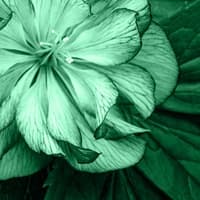 A piano solo that gives you a gentle sense of hope.(1510489)