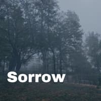 Sad song by piano and violin(886018)