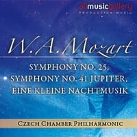 W.A.Mozart Eine kleine Nachtmusik, Allegro