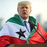 TikTok Account - qabojiye007