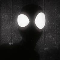 TikTok Account - seplix_audios