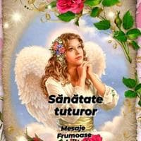 TikTok Account - mesaje.frumoase.brigitte