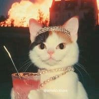 TikTok Account - mouranivea