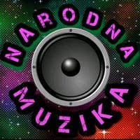 TikTok Account - _narodnamuzika_